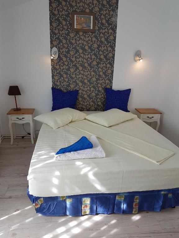 Гостевой дом Eforie Villa Эфорие-Норд